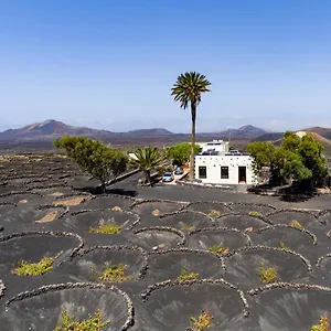 Petit La Geria Lanzarote Ferienhaus Tías