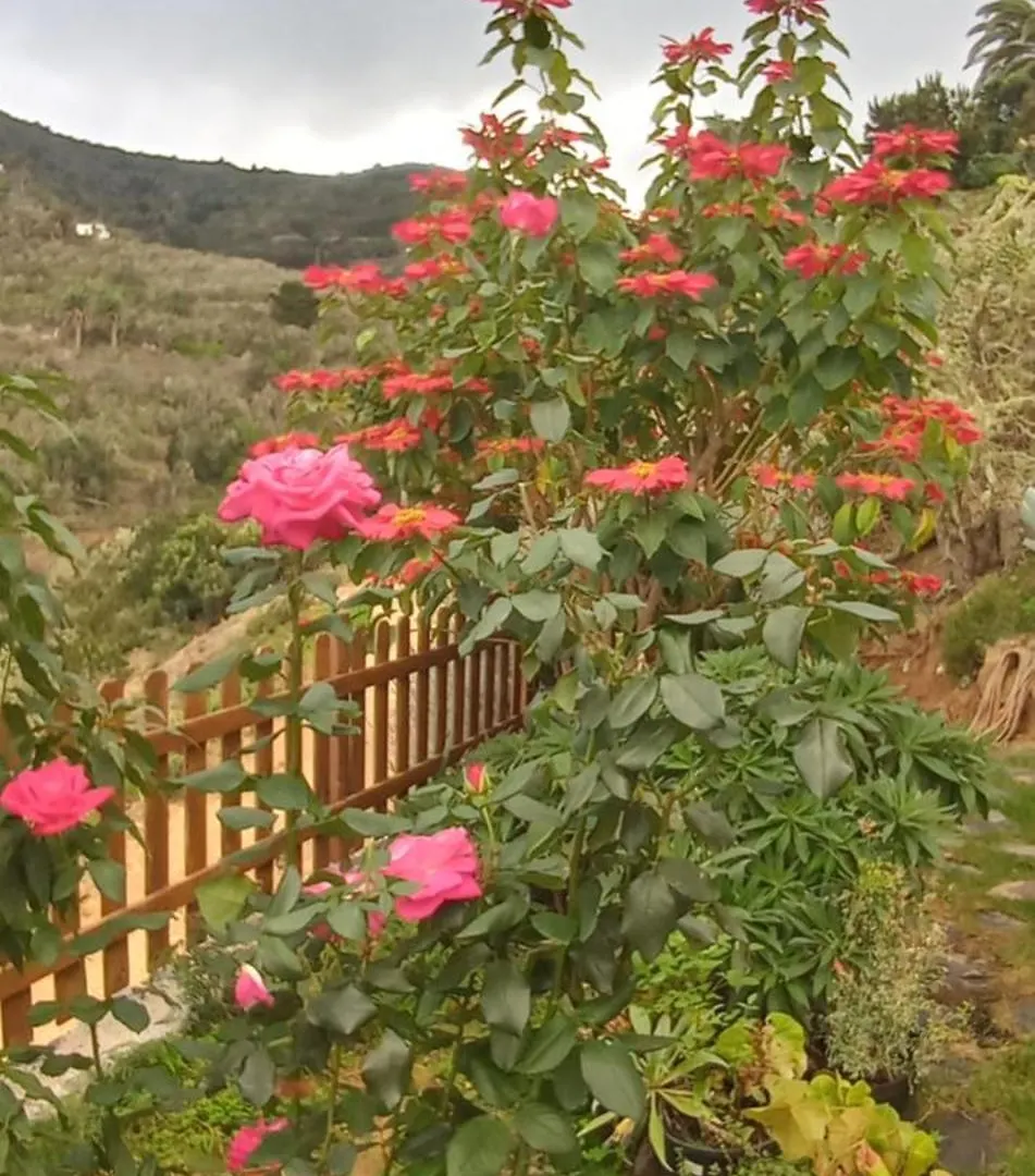 Casa Maria Villa Agulo 0*,